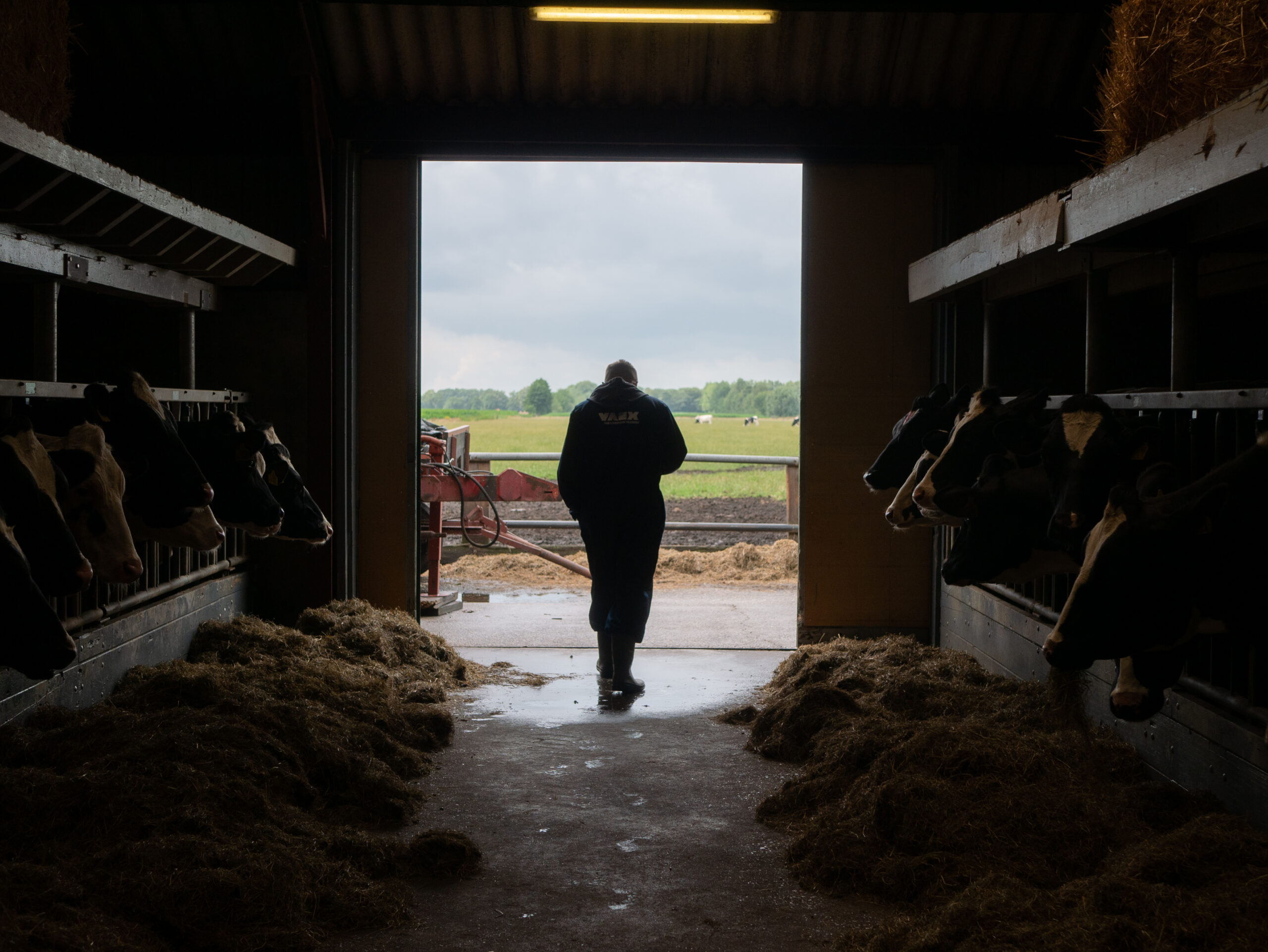 Silhouet van medewerker die stal verlaat richting buiten