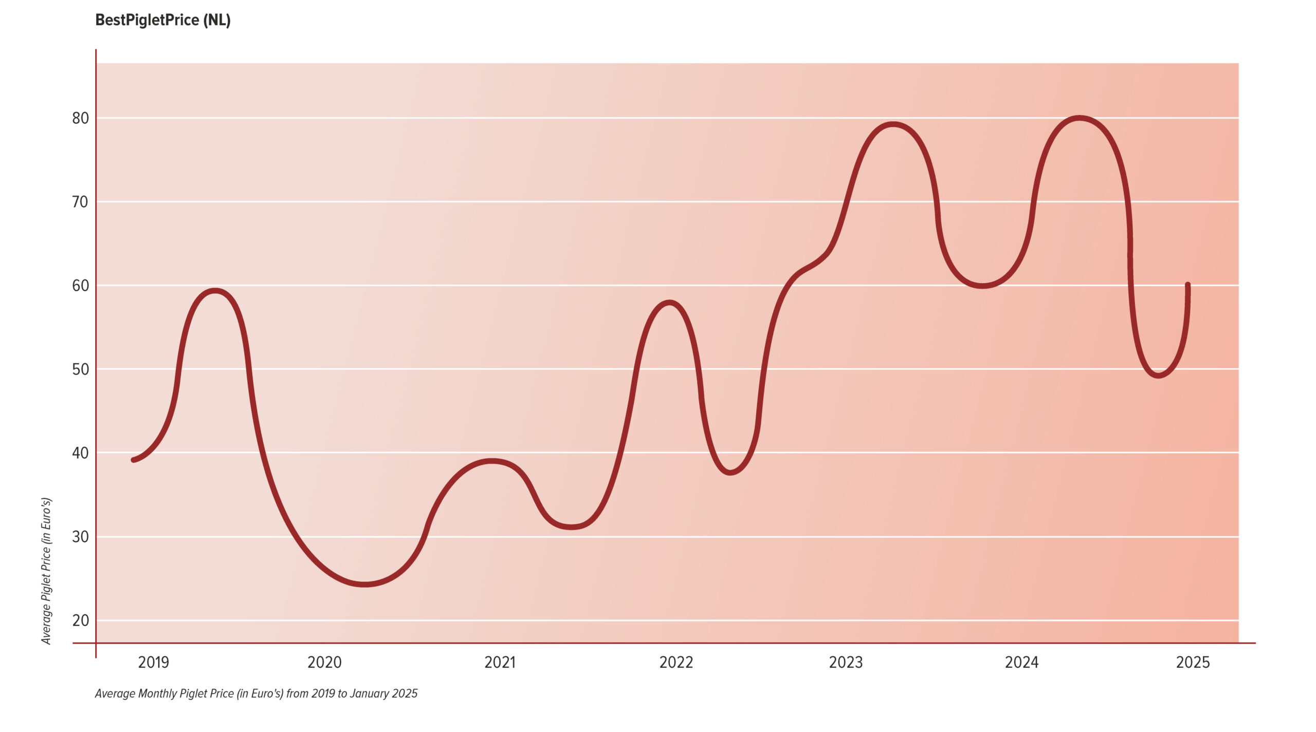 marktgrafiek met prijsontwikkelingen in varkenssector